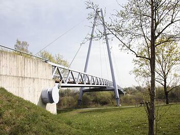 Brücken mit Sanierungsbedarf gibt es viele in Forchheim. Die lila Brücke nach Burk benötigt seit Jahren neue Bohlen. Foto: Archiv/FT