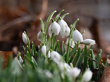 Hoch Martiin sorgt f&uuml;r einen Super-Fr&uuml;hling in Deutschland.