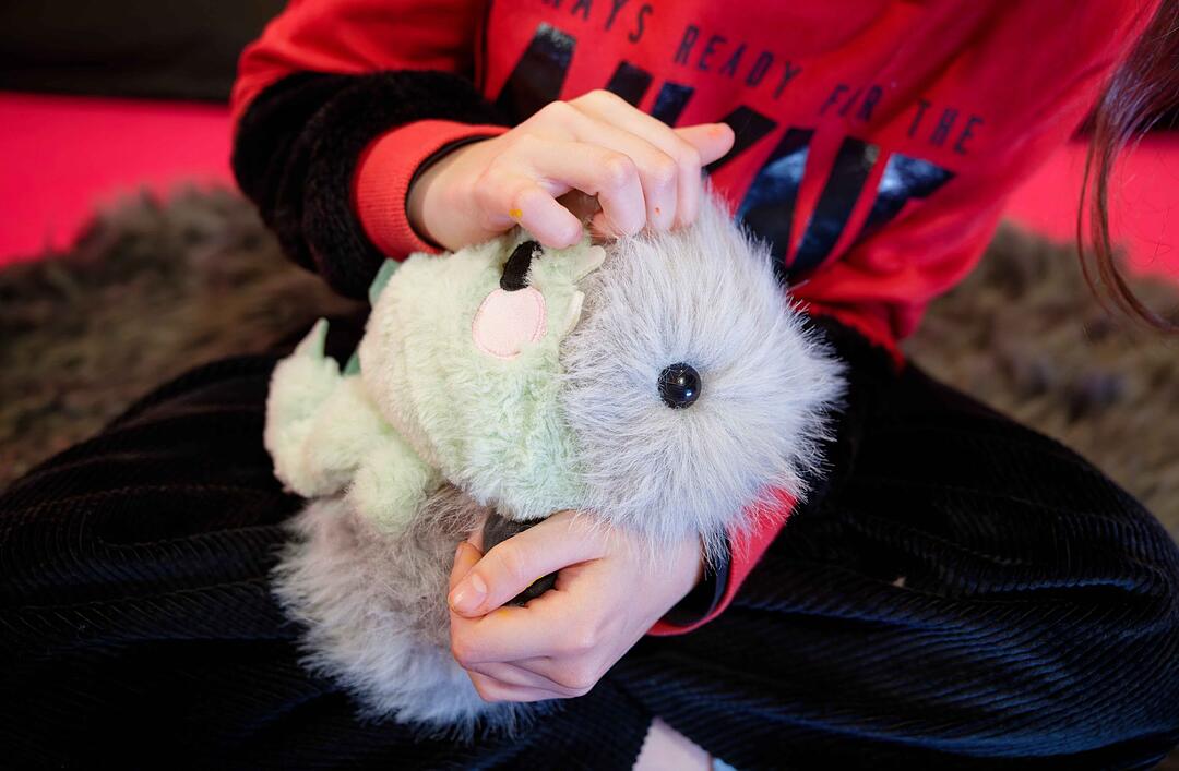 "Elektronischer Streichelzoo"