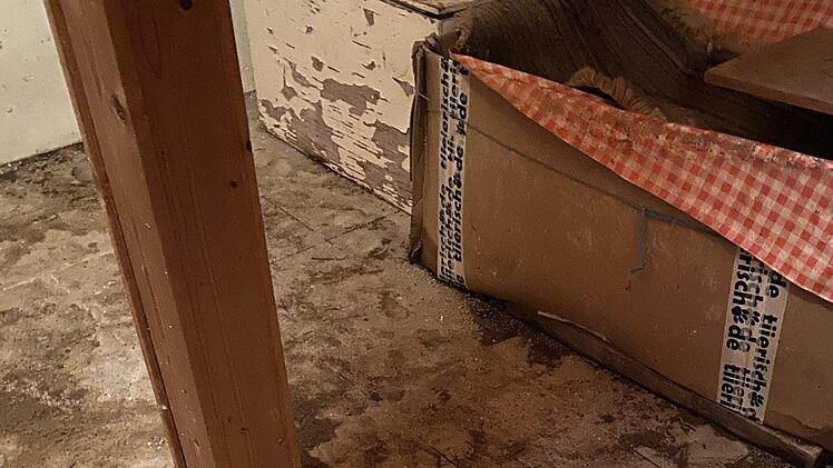 In einem sechs Quadratmeter großem Verschlag mussten die sechs Tiere ausharren. Foto: Alexandra Kieser