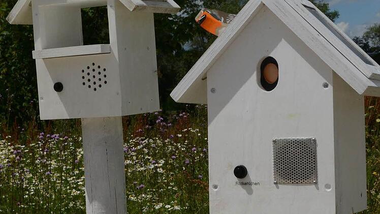 Impressionen von der Landesgartenschau in Bayreuth Foto: Dagmar Besand