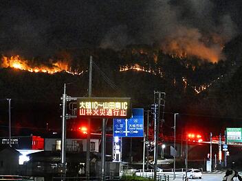 Waldbrand im Nordosten Japans