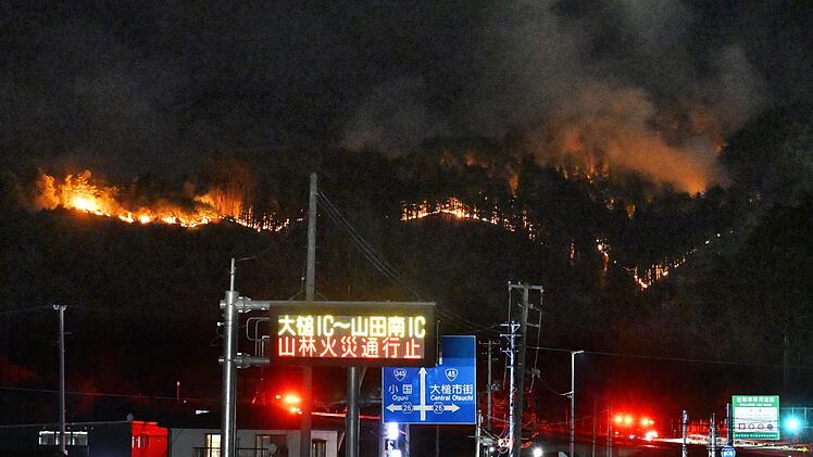 Waldbrand im Nordosten Japans