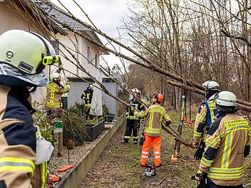 Forchheim: Baum stürzt auf Einfamilienhaus Forchheim: Baum stürzt auf Einfamilienhaus