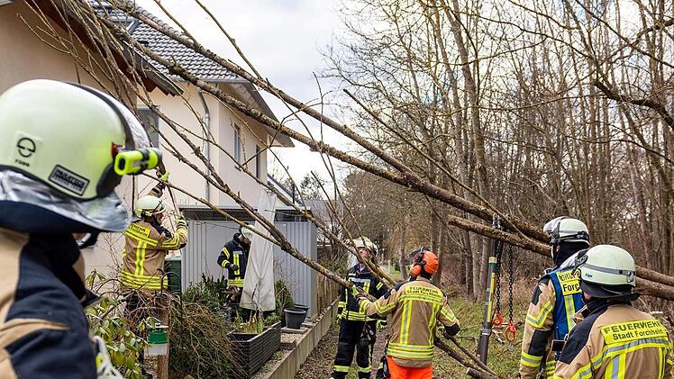 Forchheim: Baum stürzt auf Einfamilienhaus
