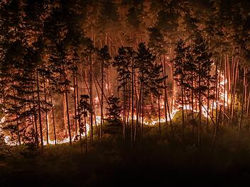 Waldbrand am Gardasee