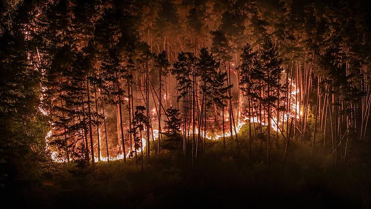 Waldbrand am Gardasee