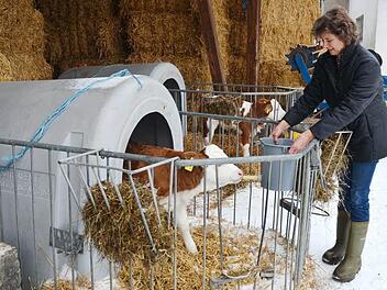 Schon früh am Morgen beginnt der Arbeitstag für Rosa Zehnter mit dem Melken der Kühe und dem Tränken der Kälber. Die beiden Kälber Ulrike (vorne) und Tina, sind gerade zwei und drei Wochen alt. Foto: K.-H. Hofmann