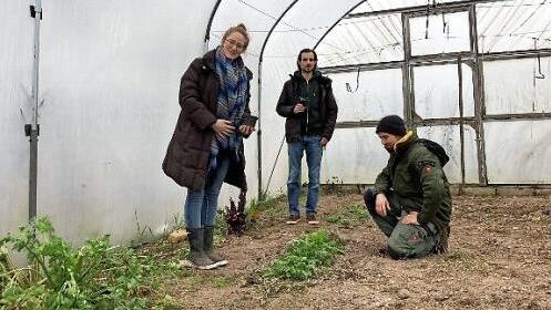 Julia Laufmann, Alexander Schug und Nicolas Müller in einem der beiden Gewächshäuser. Die Setzlinge werden demnächst gepflanzt.