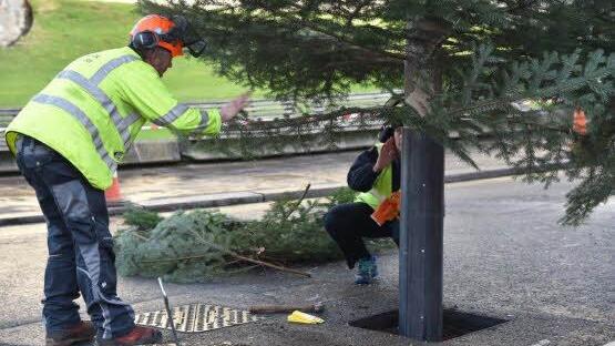 Passt! Foto: Michael Selzer/Stadt Coburg
