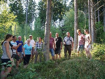 Die Zukunft des Waldes und eine gesunde Entwicklung liegen den Oberleichtersbacher Gemeinderäten    am Herzen. Beim Waldbegang machten sie  sich ein Bild vom Zustand des Waldes und vom Waldumbau.  Marion Eckert