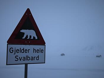 Eisb&auml;r auf Spitzbergen erschossen