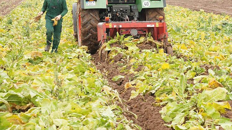 Foto: Heike Reinersmann