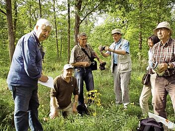 Walter Hartmann, Friedrich Mährlein, Dieter Fünfstück, Heinrich Dietz und Konrad Roth gehören zum harten Kern des botanischen Arbeitskreises im Bund Naturschutz. Regelmäßig sind sie auf Exkursion, um die Flora zu kartieren. Foto: Walter Hartmann