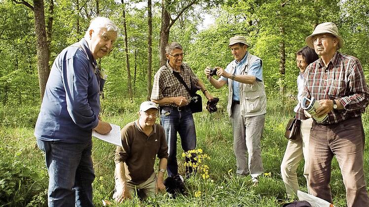 Walter Hartmann, Friedrich Mährlein, Dieter Fünfstück, Heinrich Dietz und Konrad Roth gehören zum harten Kern des botanischen Arbeitskreises im Bund Naturschutz. Regelmäßig sind sie auf Exkursion, um die Flora zu kartieren. Foto: Walter Hartmann