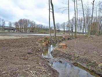 Bad Rodacher Bürgern war der Eingriff rund um Eisteich und Auwäldchen zu dramatisch. Die Stadt erklärt erneut, wie es zu der Entscheidung kam und welche Alternativen den Entscheidungsträgern offen gestanden hätten. Foto: Rainer Lutz
