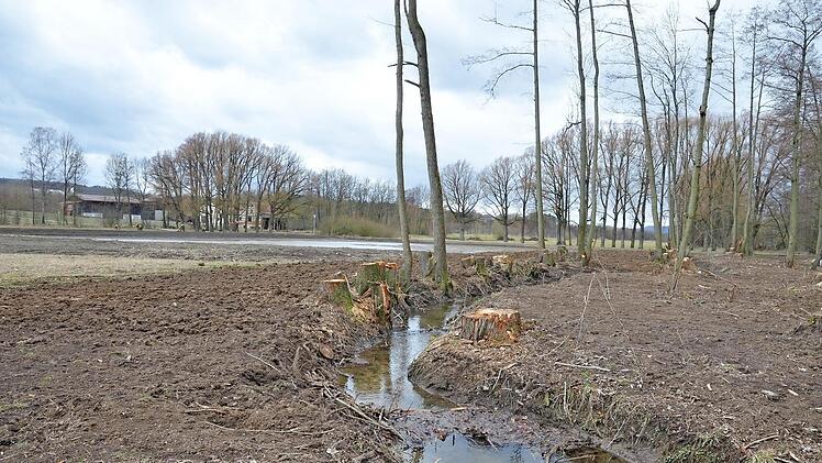 Bad Rodacher Bürgern war der Eingriff rund um Eisteich und Auwäldchen zu dramatisch. Die Stadt erklärt erneut, wie es zu der Entscheidung kam und welche Alternativen den Entscheidungsträgern offen gestanden hätten. Foto: Rainer Lutz