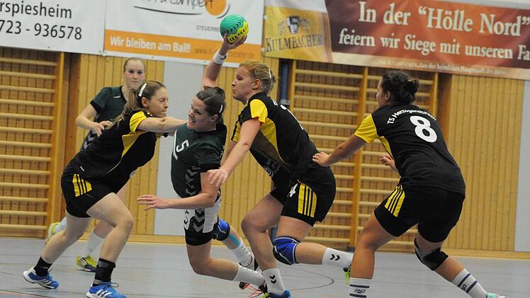 Einen verdienten Punkt holte die SG Garitz/Nüdlingen (grüne Trikots) gegen die TS Herzogenaurach. Foto: Hopf