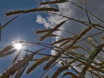 Foto: Paul Zinken, dpa