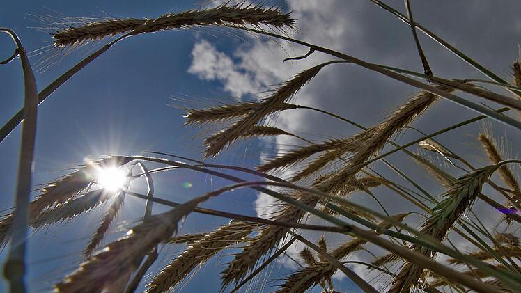 Foto: Paul Zinken, dpa