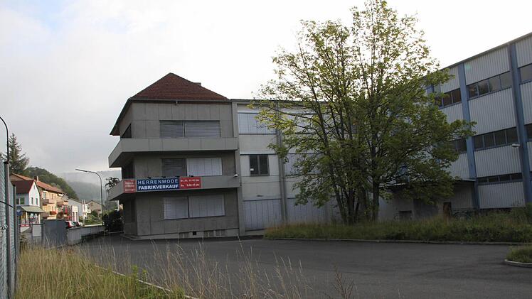 Neubau eines Rewe-Marktes: Diese beiden Ahorne müssen dran glauben. Foto: Ulrike Müller