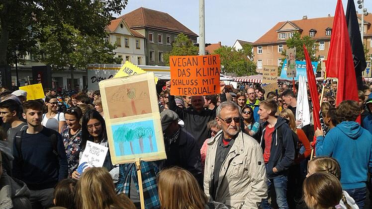 Eindrücke vom Klimastreik in Erlangen        Foto: Karina Brock