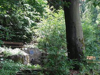 Die gesamte Anlage ist von allerhand Bewuchs und Überwucherungen gesäubert worden. Foto: Dieter Seyfarth