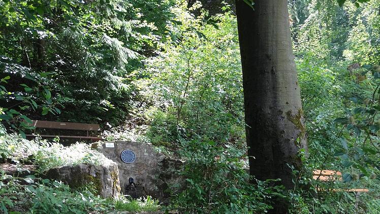 Die gesamte Anlage ist von allerhand Bewuchs und Überwucherungen gesäubert worden. Foto: Dieter Seyfarth