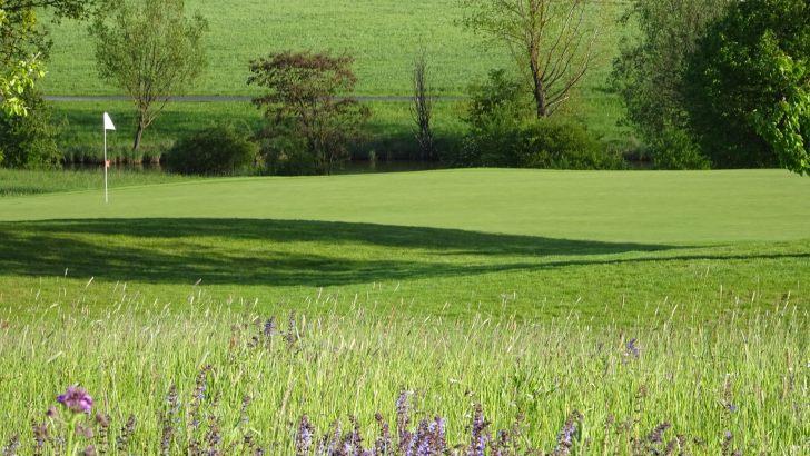 Nicht nur grüne Flächen, auch Blumenwiesen prägen das Gesicht des Golfplatzes Maria Bildhausen.  Hier Blick auf das 10. Grün.          Vor 25 Jahren war Spatenstich. Foto: Anton Then