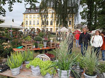 Der Park bietet eine stimmungsvolle Kulisse für diese "Gartenlust auf Schloss Jägersburg".  Fotos: Mathias Erlwein