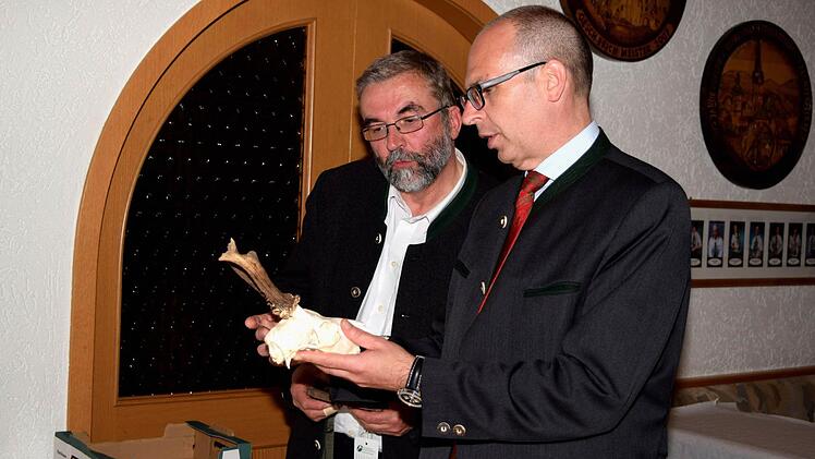 Peter Hagemann erläutert Landrat Christian Meißner das Gehör eines Rehbocks. Foto: Dieter Radziej