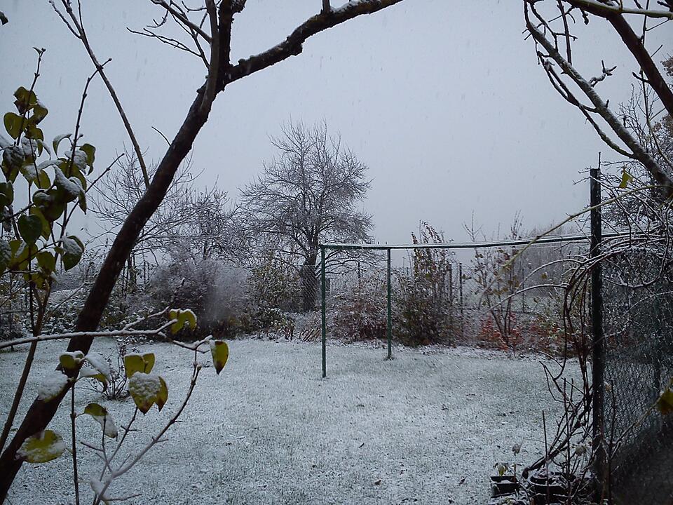 Leserbilder: Der erste Schnee in Franken