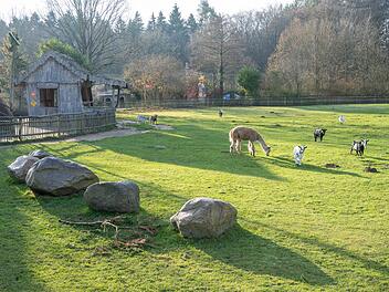 Verfahren gegen Tierpark wegen Verletzung in Streichelgehege