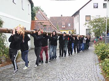 Die Kirchweihfichte hatte sich durch den Regen mit Wasser vollgesogen und war heuer besonders schwer.  Foto: Sonja Werner
