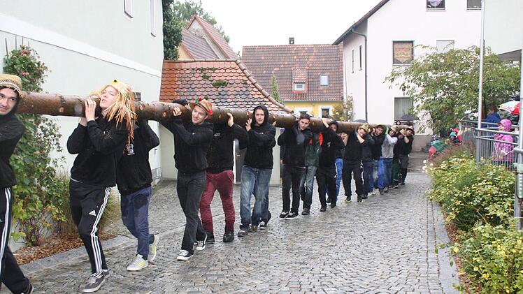 Die Kirchweihfichte hatte sich durch den Regen mit Wasser vollgesogen und war heuer besonders schwer.  Foto: Sonja Werner