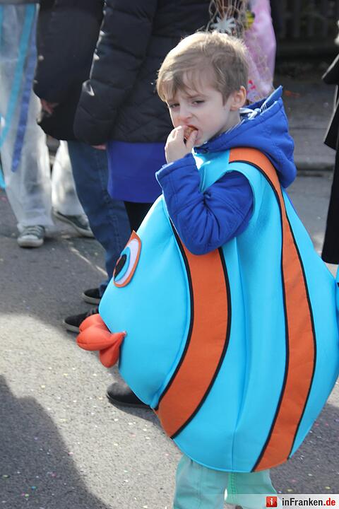 Faschingszug Oberhaid 2016