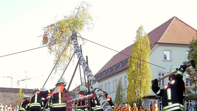 Verblüffendes über den Maibaum: Maibaumklau, Schandbaum, Auslöse