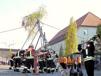 Verblüffendes über den Maibaum: Maibaumklau, Schandbaum, Auslöse