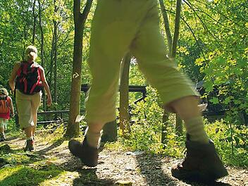 Über 42 Kilometer beträgt die Streckenlänge für den Wandermarathon.  Foto: Archiv/Frankenwald Tourismus
