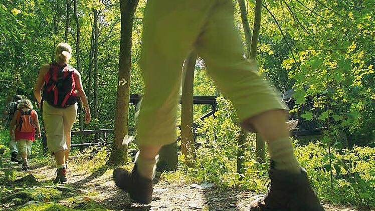 Über 42 Kilometer beträgt die Streckenlänge für den Wandermarathon.  Foto: Archiv/Frankenwald Tourismus