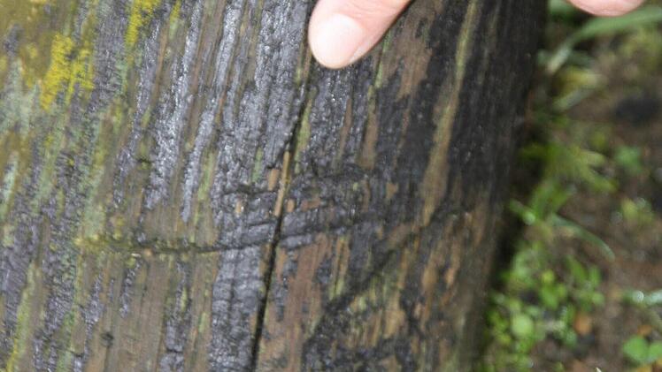 Eindeutig morsch: Die Schaukel im Garten muss erneuert werden. Foto: Diana Fuchs