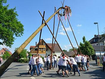 Beim Aufstellen hatten die Kerwasburschen weniger Mühe als beim Fällen. Foto: Larissa Händel