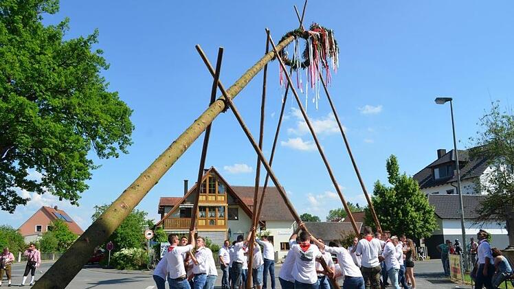 Beim Aufstellen hatten die Kerwasburschen weniger Mühe als beim Fällen. Foto: Larissa Händel