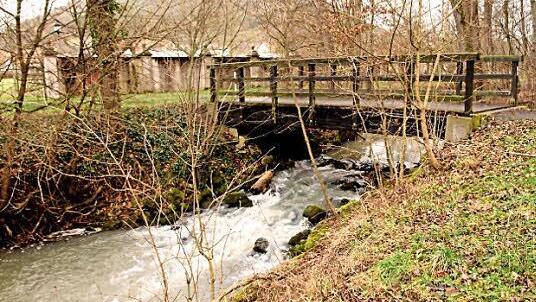 Im Bereich des Ebelsbaches und an einem Wehr hinter dem Schloss soll ein Umgehungsgerinne für die Tierwelt gebaut werden.  Foto: Günther Geiling