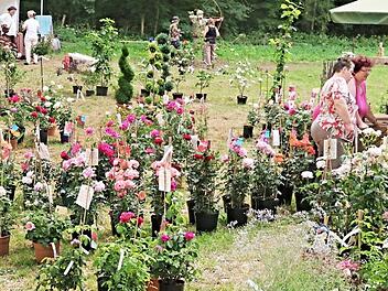 Ein Meer von Blumen war an verschiedenen Stellen zu finden. Fotos: Helmut Will