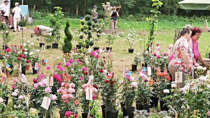 Ein Meer von Blumen war an verschiedenen Stellen zu finden. Fotos: Helmut Will