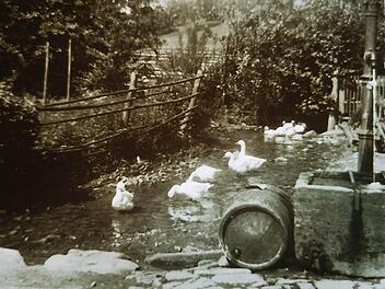 Vom alten Brunnen in der Talstraße gibt es noch historische Aufnahmen.  Sie stammen aus dem Archiv von Günther Metz.