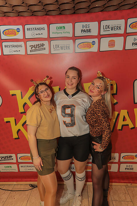 Fasching 2025 in Schweinfurt!