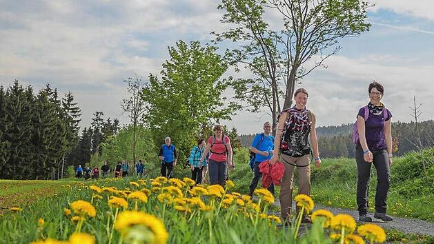 Wie sch&ouml;n Wandern im Frankenwald ist, soll Ende Mai einem gro&szlig;en Publikum gezeigt werden. Foto: Frankenwald Tourismus/Markus Balkow