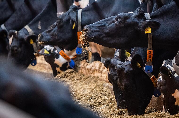 Neuer Startschuss für ein staatliches Tierhaltungs-Logo